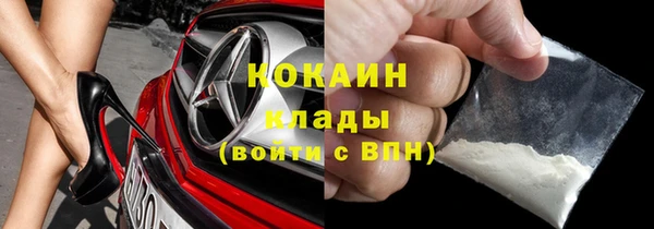 круглые Гусев