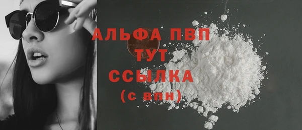 круглые Гусев