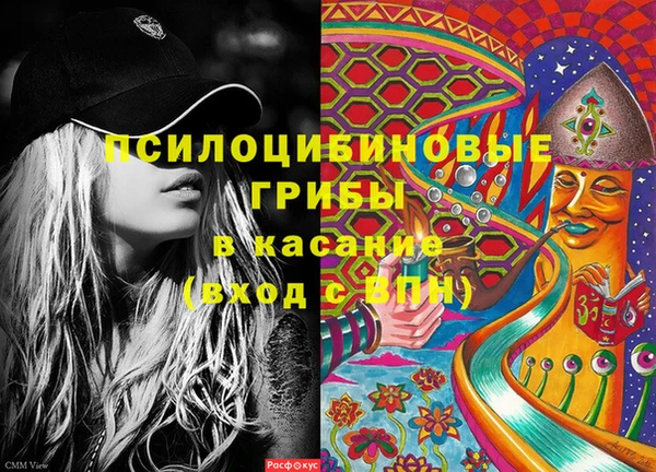 apvp Гусь-Хрустальный