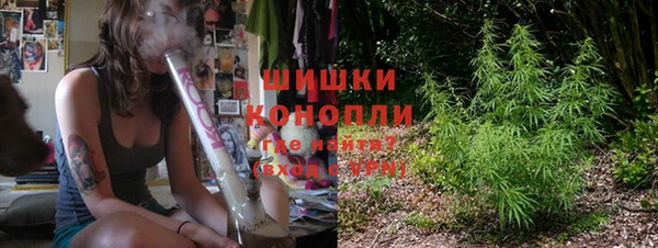 apvp Гусь-Хрустальный