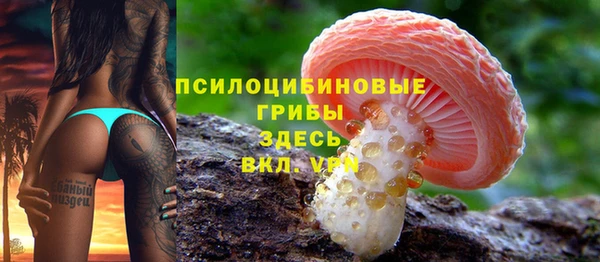 круглые Гусев