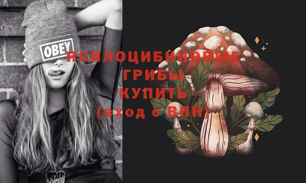 apvp Гусь-Хрустальный