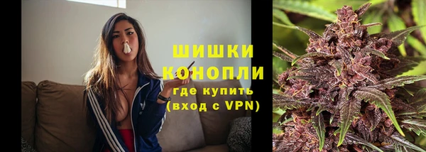 круглые Гусев