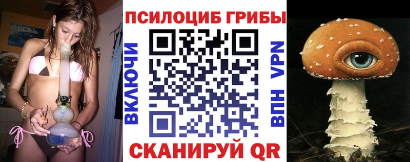 цены Тулун Псилоцибиновые грибы прущие грибы